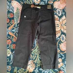 NWT American Eagle Outfitters Christopher Blue Classic Black Cropped Pants
